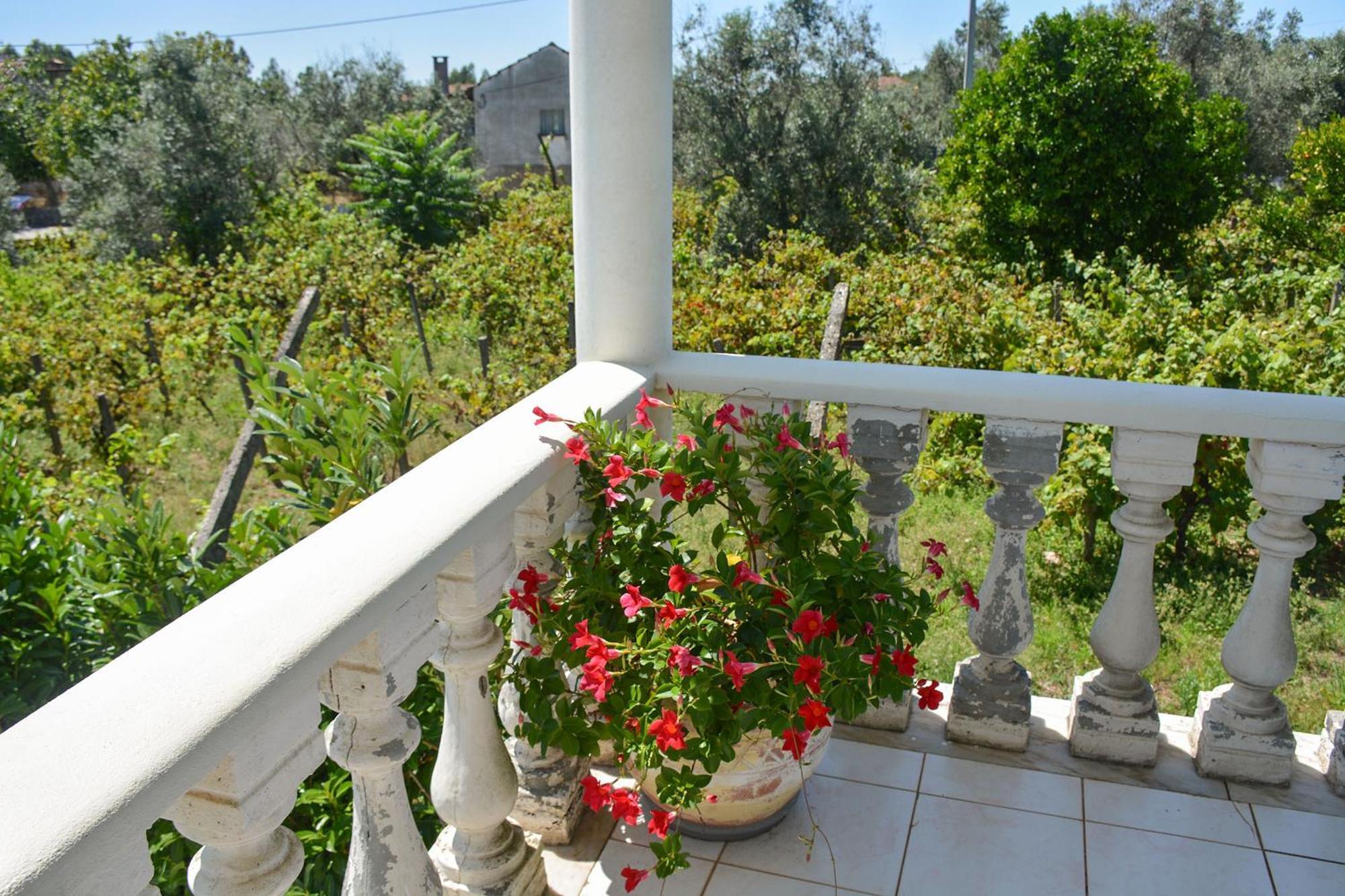 Villa Casa Da Rosa, Com Piscina Privada Carvalheira Grande المظهر الخارجي الصورة
